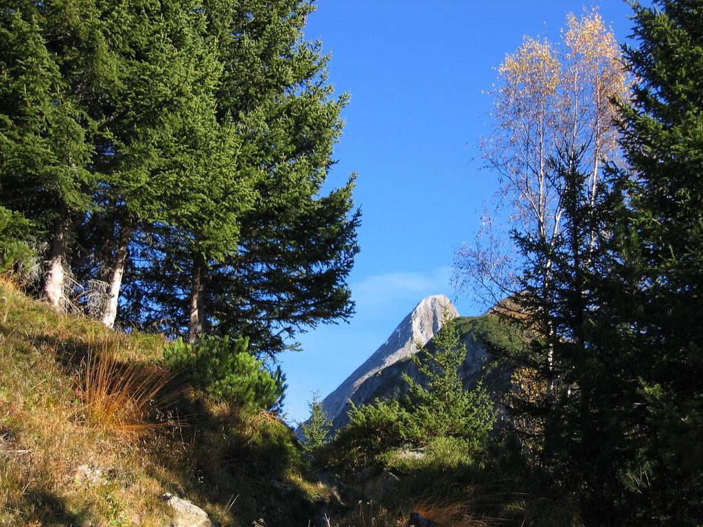 Ferienwohnung Haus Schlechter Mayrhofen Exterior foto