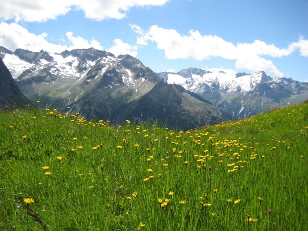 Ferienwohnung Haus Schlechter Mayrhofen Exterior foto